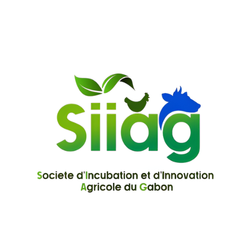 Logo Startup
