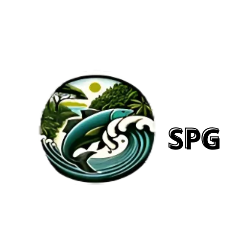 Logo Startup